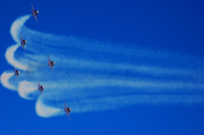 53_Axalp_Patrouille Suisse_F-5E Tiger.jpg
